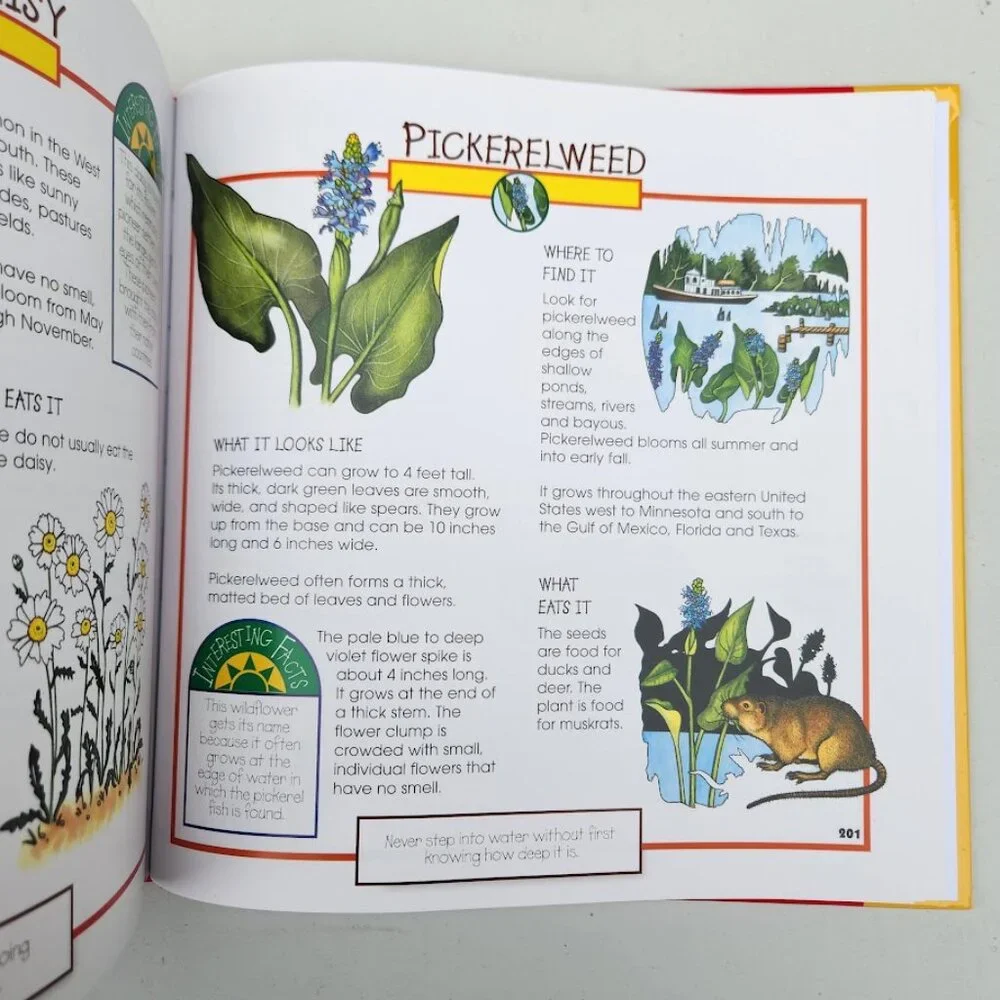 More Fun With Nature Take Along Guides Hardcover Book Activity Journal Craft